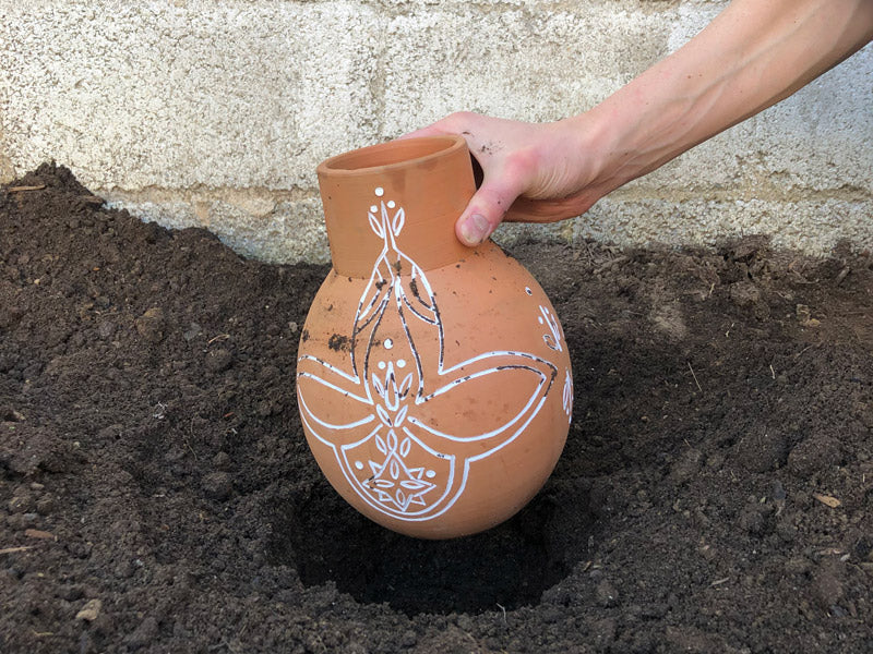 Ollas: Irrigate Your Garden With Ancient Tech - Epic Gardening