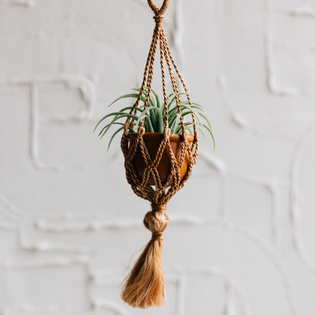 Order Bangladesh Small Macrame Terracotta Pot