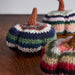 Spices & Stripes Wool Pumpkin thumbnail 4