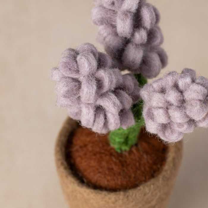 Felted Flower Pot - Hyacinth - Ten Thousand Villages 2