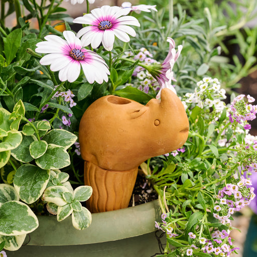 Self Watering Plant Pet - Rhino