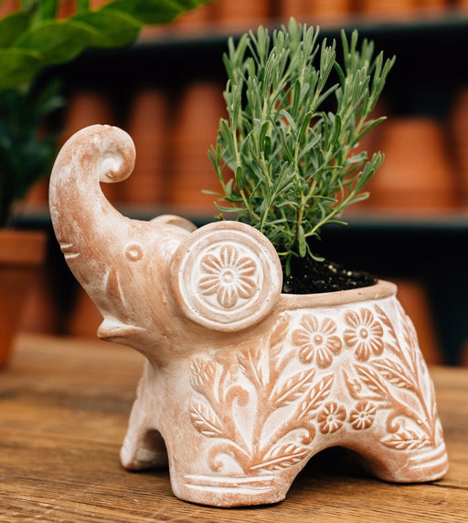 Trumpeting Elephant Planter