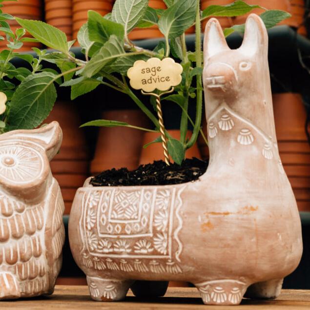 Potted Plant Pet Bundle - Ten Thousand Villages 6