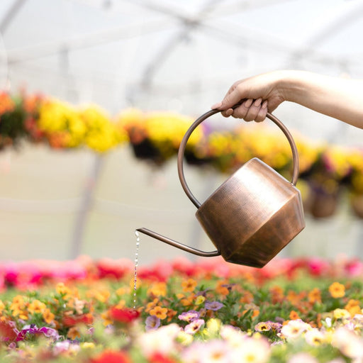 Antique Copper Watering Can - Ten Thousand Villages