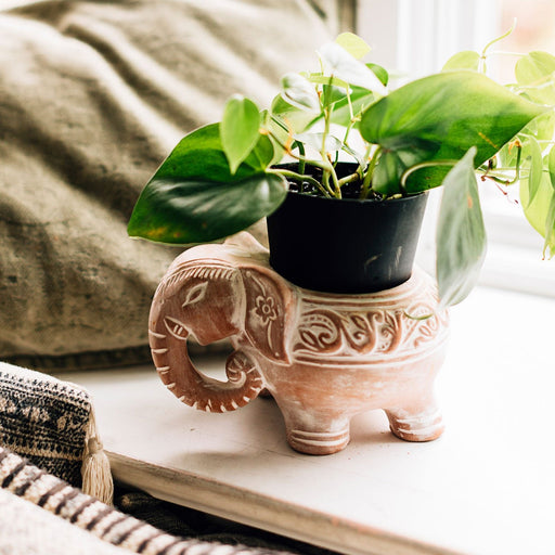 Elephant Planter