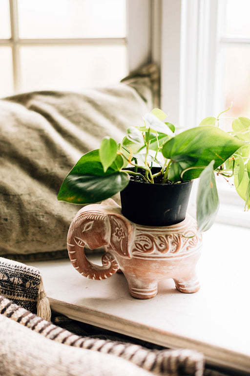 Elephant Planter