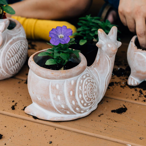 Snail Planter