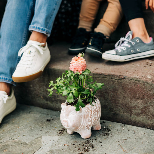 Happy Pig Planter - Ten Thousand Villages