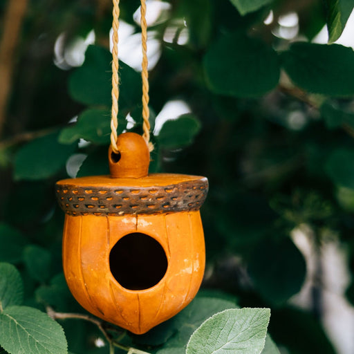 Acorn Terracotta Birdhouse