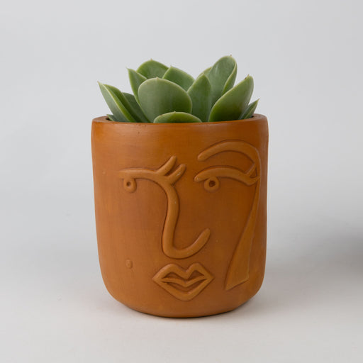 Full Lashes Terracotta Face Planter