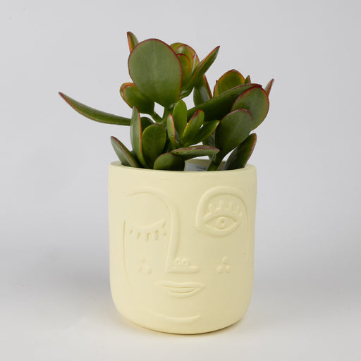 Winky Face Cream Terracotta Planter 4" - Default Title (6601610)