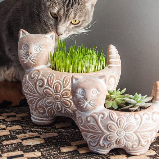 Garden Kitty Planter - Ten Thousand Villages