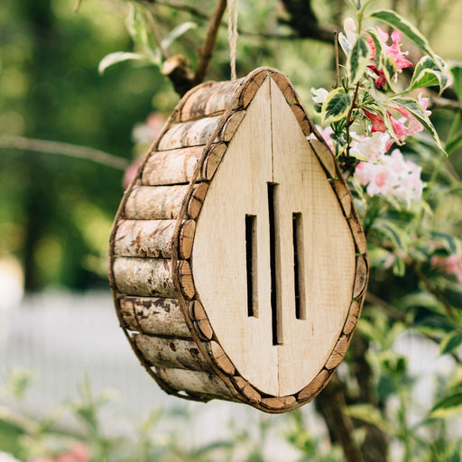 Wooden Butterfly House